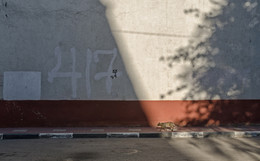No name / ***