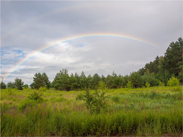 Rainbow / ***