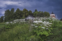 before the rain ... / ***