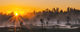 A new day begins / ***
