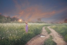 Evening fog / ***