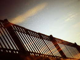 Reflection / ***