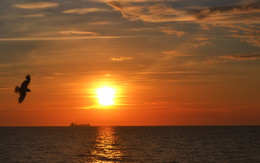 Stop a moment ... / ***