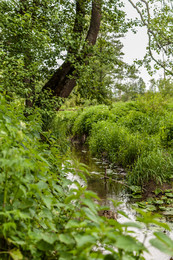 Quiet River / ***