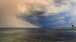 after the storm / ***