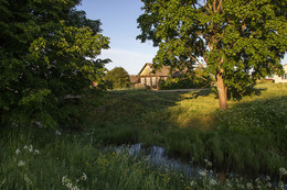 Rustic morning / ***