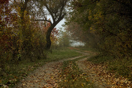 Autumn / ***