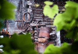 Rain... / ***