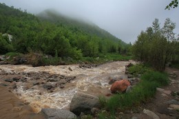 After the rain / ***