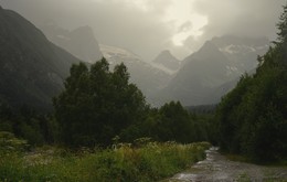 Blind rain / ***