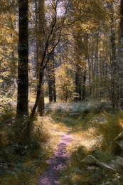 Path / ***