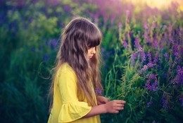 in colors / ***