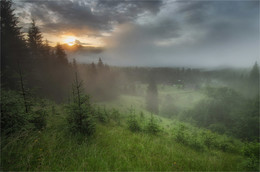 Gloomy morning / ***