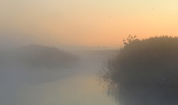 Morning landscape / ***