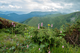 Beauty of the Carpathian Mountains / ***