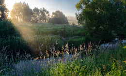 Morning / 2018-06-26 04:35:36