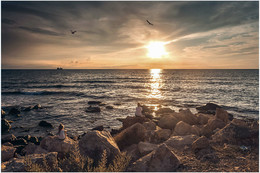 At sunset / ***