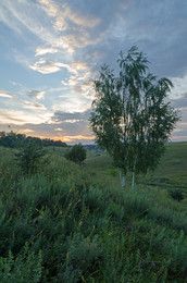 July evening / ***