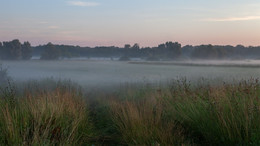 At dawn / ***