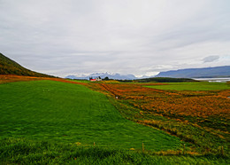 Country Landscape / ***