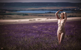 Crimean lavender / Ph: Roman Sergeev http://vk.com/srfoto