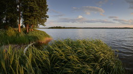 Evening Silence *** / ***