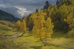 Valley Dzhalpakol / ***