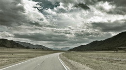Trip / ...