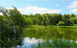 Summer day / ***