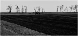 In the field / ...