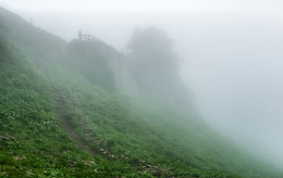 in the morning mist / ***