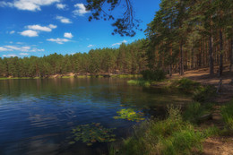 At the lake ... / ***