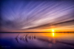 On the sunset / ***