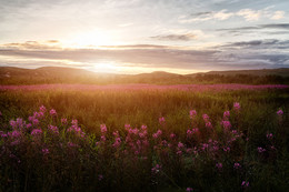 In the sunset hour / ***