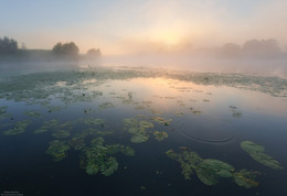 The beginning of the day. / ***