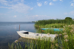 In the morning on the lake / ***