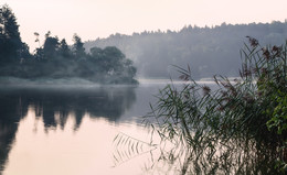 Summer fog / ***