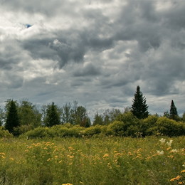 Siberian Summer / ***