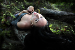 Forest .... / ***