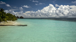 On the island / ***