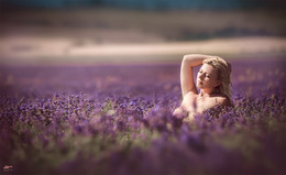 Lavender / Ph: Roman Sergeev http://vk.com/srfoto