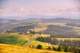 Carpathian june evening / ***