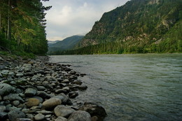 On the bank of the Katun / ...