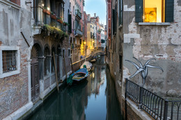 Looking out the window / ***