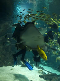 &nbsp; / [img]https://pp.userapi.com/c824501/v824501264/1898ca/dLjQwmvh_W0.jpg[/img]

[img]https://pp.userapi.com/c824501/v824501264/1898dc/plziq-1BX7I.jpg[/img]

[img]https://pp.userapi.com/c824501/v824501264/1898e5/5Ml88C7lq_M.jpg[/img]

[img]https://pp.userapi.com/c824501/v824501264/189905/i6zVsXmJkUA.jpg[/img]