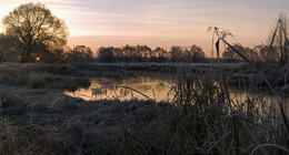 frosty morning / ***
