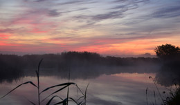 Foggy landscape / ***