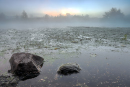 the dawn ... / ***