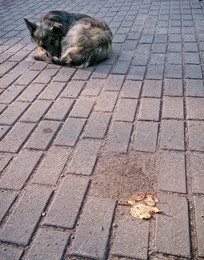 Soon autumn ... / ***