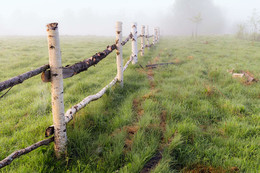 Going in the fog / ***